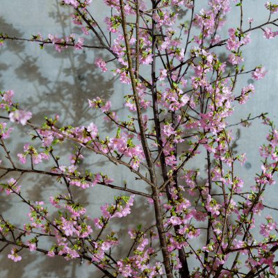 名古屋デザイン会社のオフィス装花